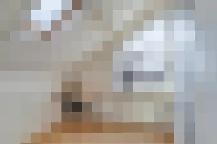 Twijnen 33 Oudewater thumbnail 33
