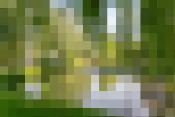 Twijnen 33 Oudewater thumbnail 37