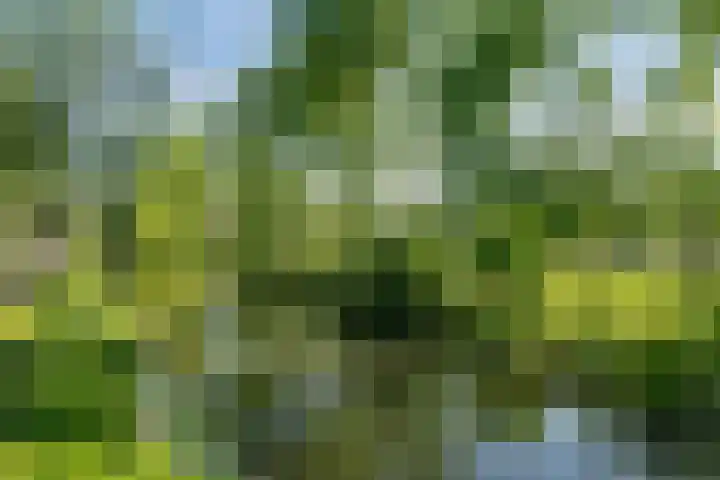 Twijnen 33 Oudewater thumbnail 39