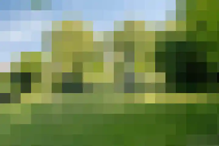 Twijnen 33 Oudewater thumbnail 40