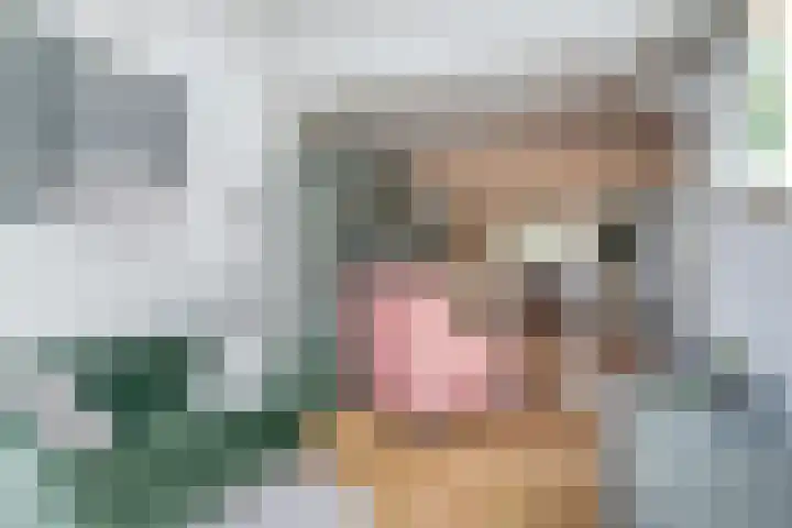 Twijnen 33 Oudewater thumbnail 7