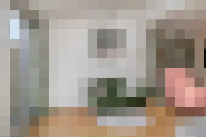 Twijnen 33 Oudewater thumbnail 8