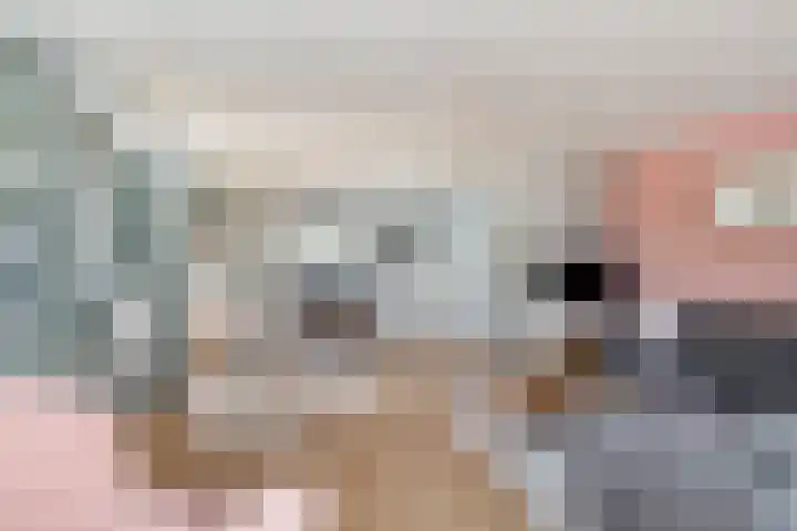 Twijnen 33 Oudewater thumbnail 9