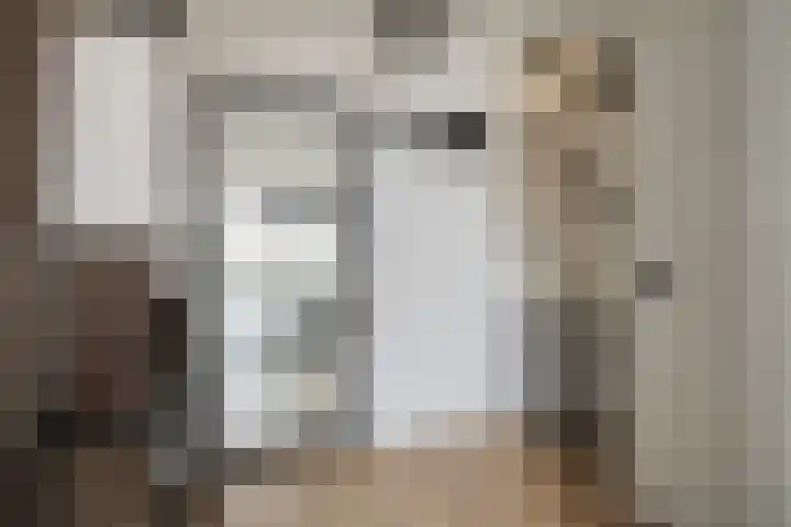 Twijnen 35 Oudewater thumbnail 18