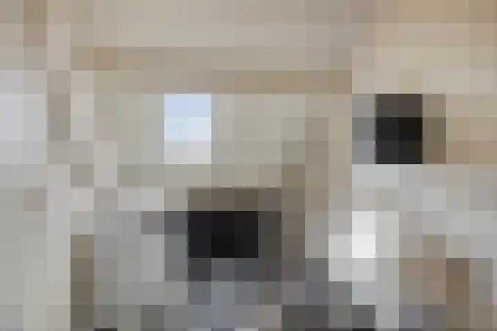 Twijnen 35 Oudewater thumbnail 31