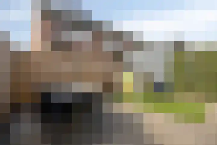 Twijnen 35 Oudewater thumbnail 40