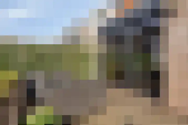 Twijnen 35 Oudewater thumbnail 43