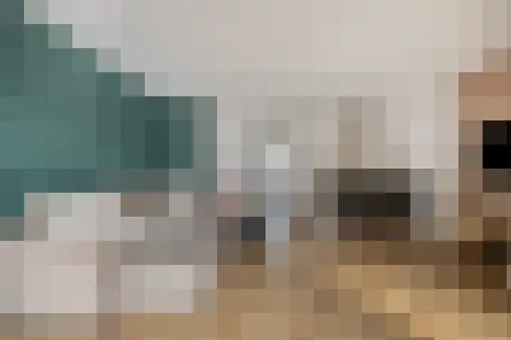 Twijnen 35 Oudewater thumbnail 8