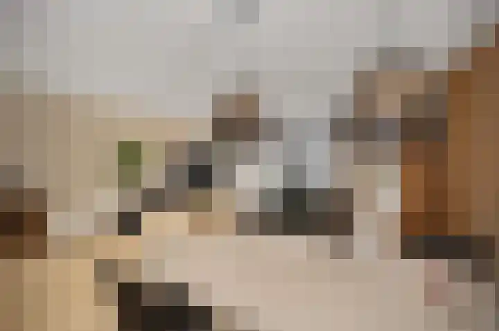 Twijnen 43 Oudewater thumbnail 10