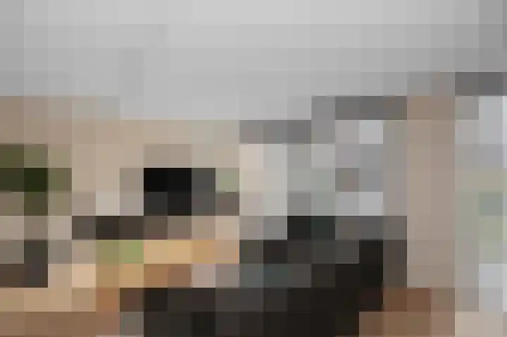 Twijnen 43 Oudewater thumbnail 12
