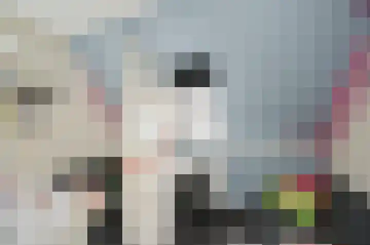 Twijnen 43 Oudewater thumbnail 25