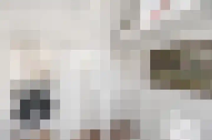 Twijnen 43 Oudewater thumbnail 31