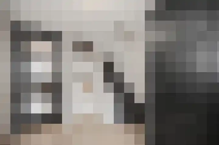 Twijnen 43 Oudewater thumbnail 4