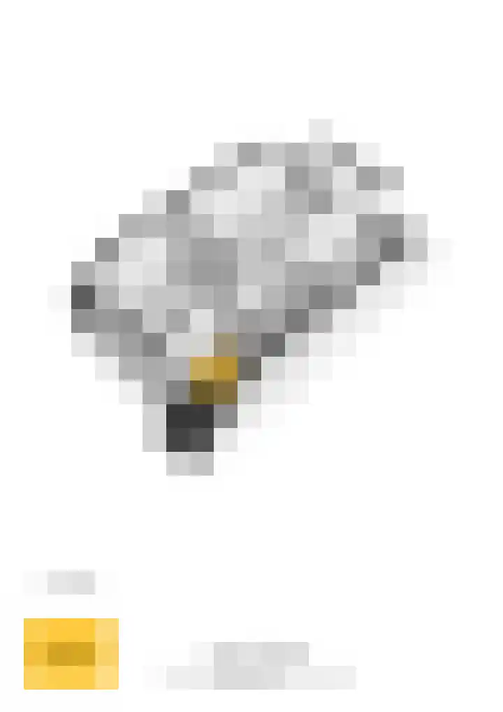 Twijnen 43 Oudewater thumbnail 40