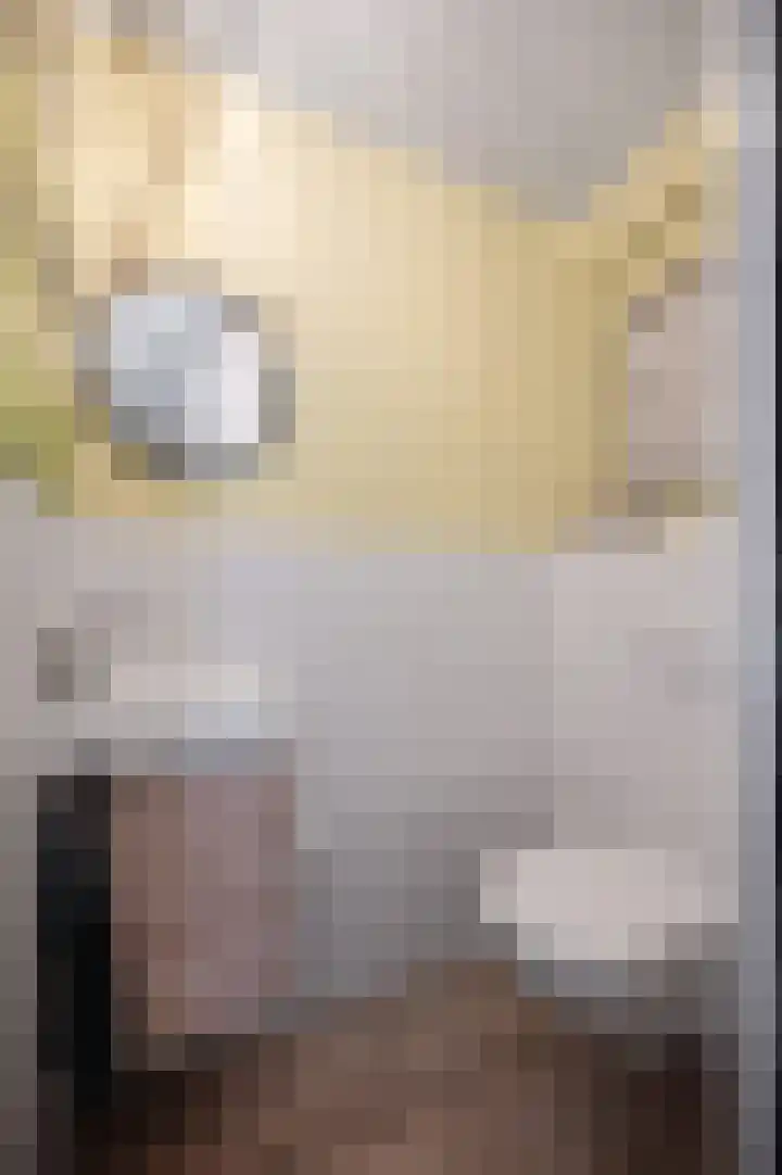 Twijnen 43 Oudewater thumbnail 6
