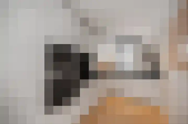 Twijnen 43 Oudewater thumbnail 8