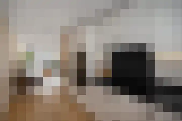 Twijnen 43 Oudewater thumbnail 9