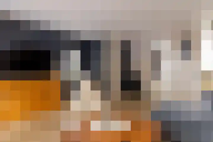 Twijnen 60 Oudewater thumbnail 10