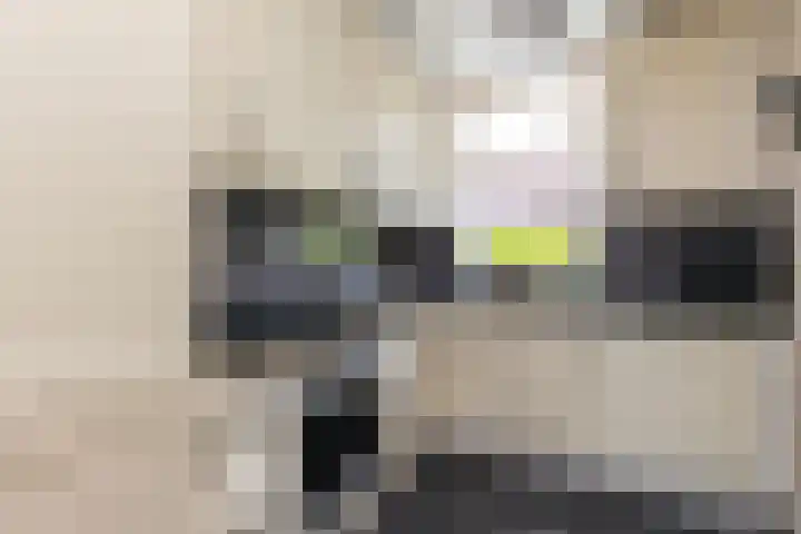 Twijnen 60 Oudewater thumbnail 17