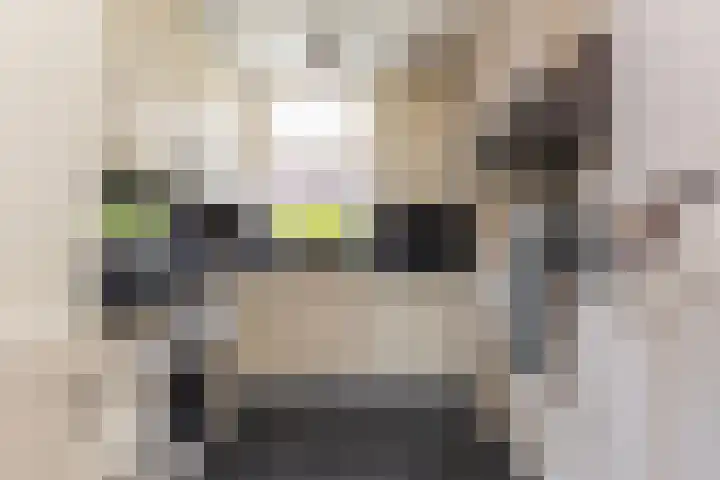 Twijnen 60 Oudewater thumbnail 18