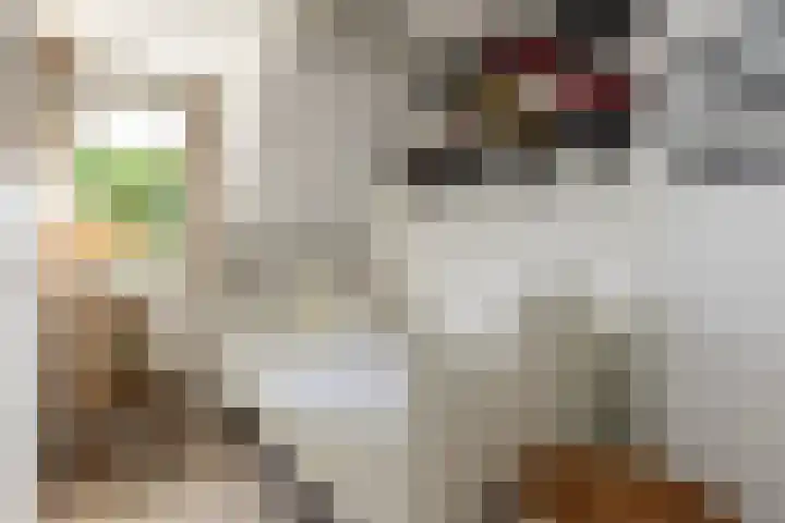 Twijnen 60 Oudewater thumbnail 36
