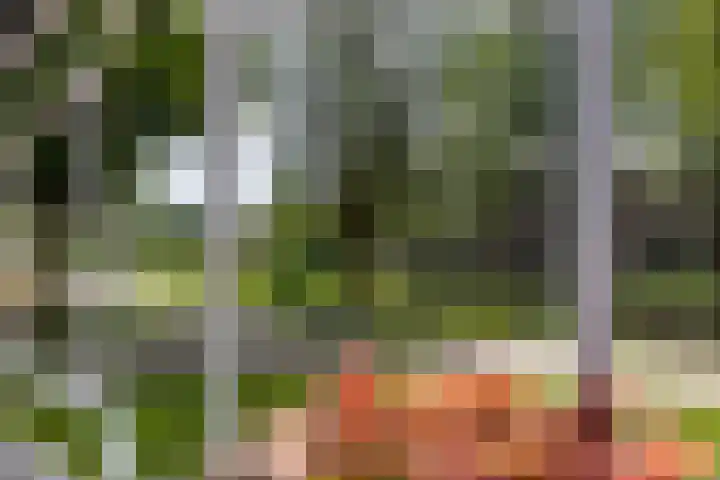 Twijnen 60 Oudewater thumbnail 53