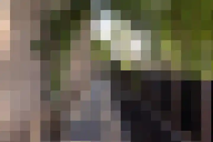 Twijnen 60 Oudewater thumbnail 55