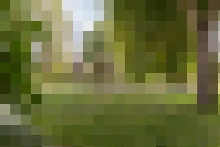 Twijnen 60 Oudewater thumbnail 56