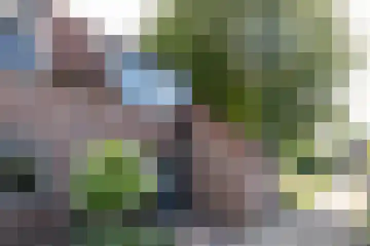 Twijnen 60 Oudewater thumbnail 57