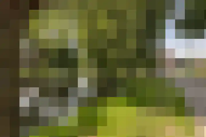 Twijnen 60 Oudewater thumbnail 60