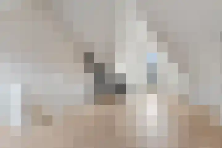 Twijnerij 16 Ede thumbnail 31