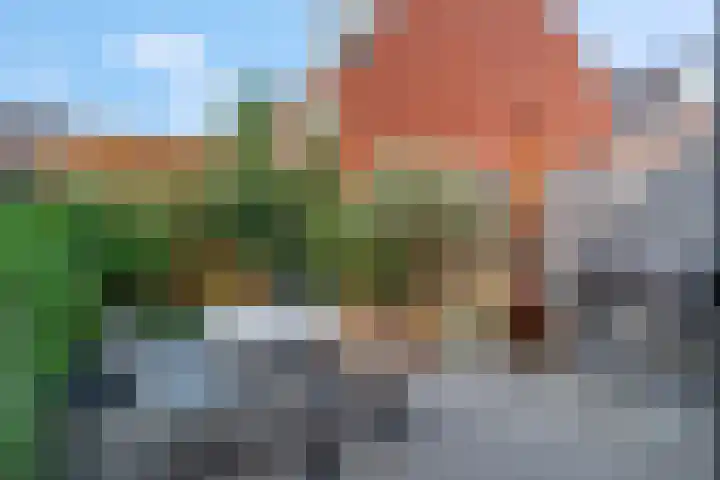 Twijnerij 16 Ede thumbnail 32