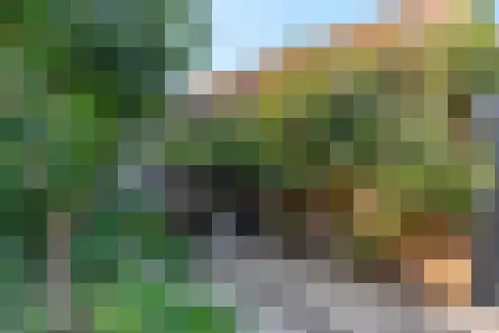 Twijnerij 16 Ede thumbnail 35