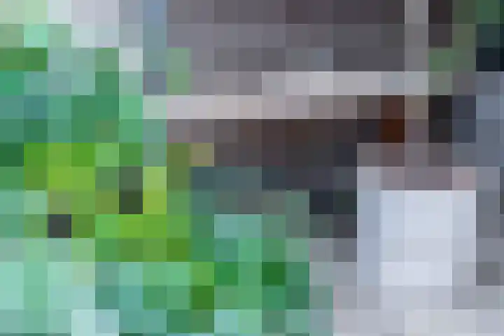 Twijnerij 16 Ede thumbnail 36