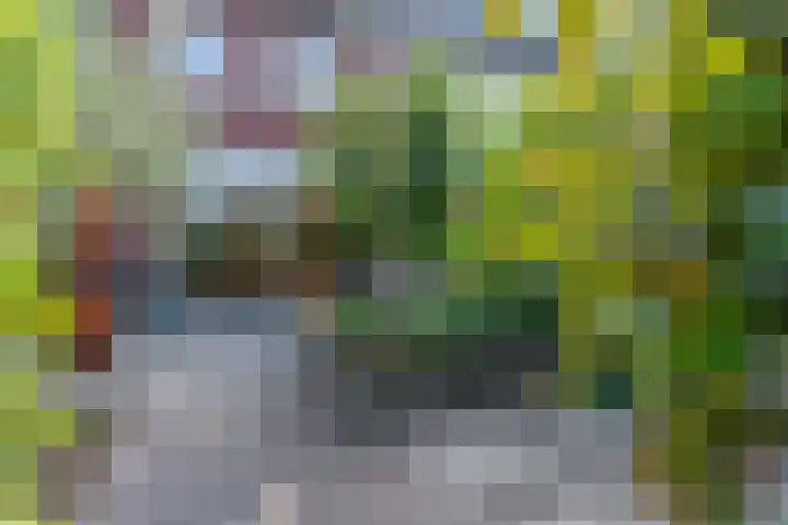 Twijnerij 16 Ede thumbnail 37