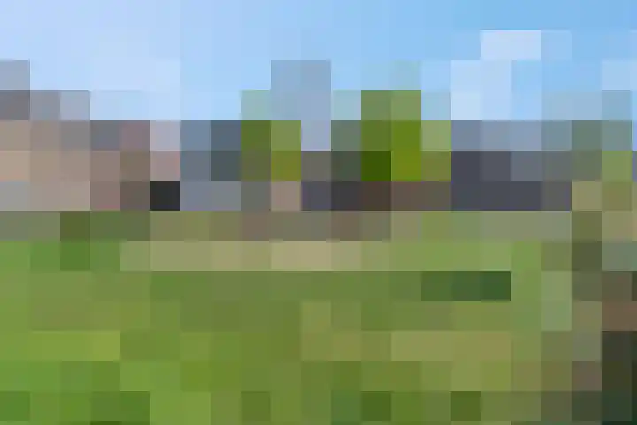 Twijnerij 16 Ede thumbnail 39