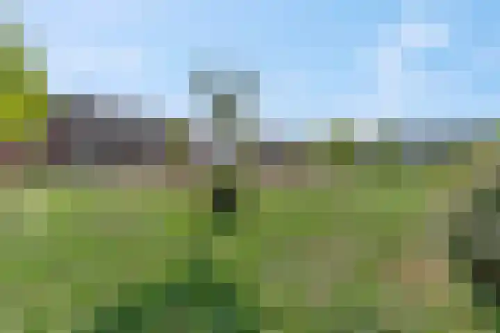 Twijnerij 16 Ede thumbnail 40