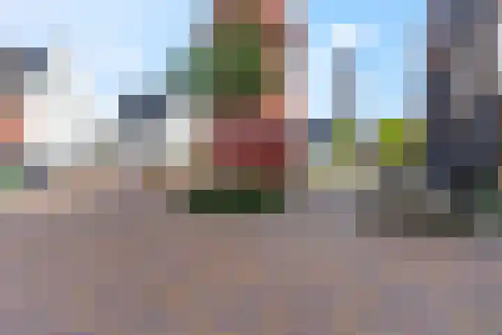 Twijnerij 16 Ede thumbnail 45