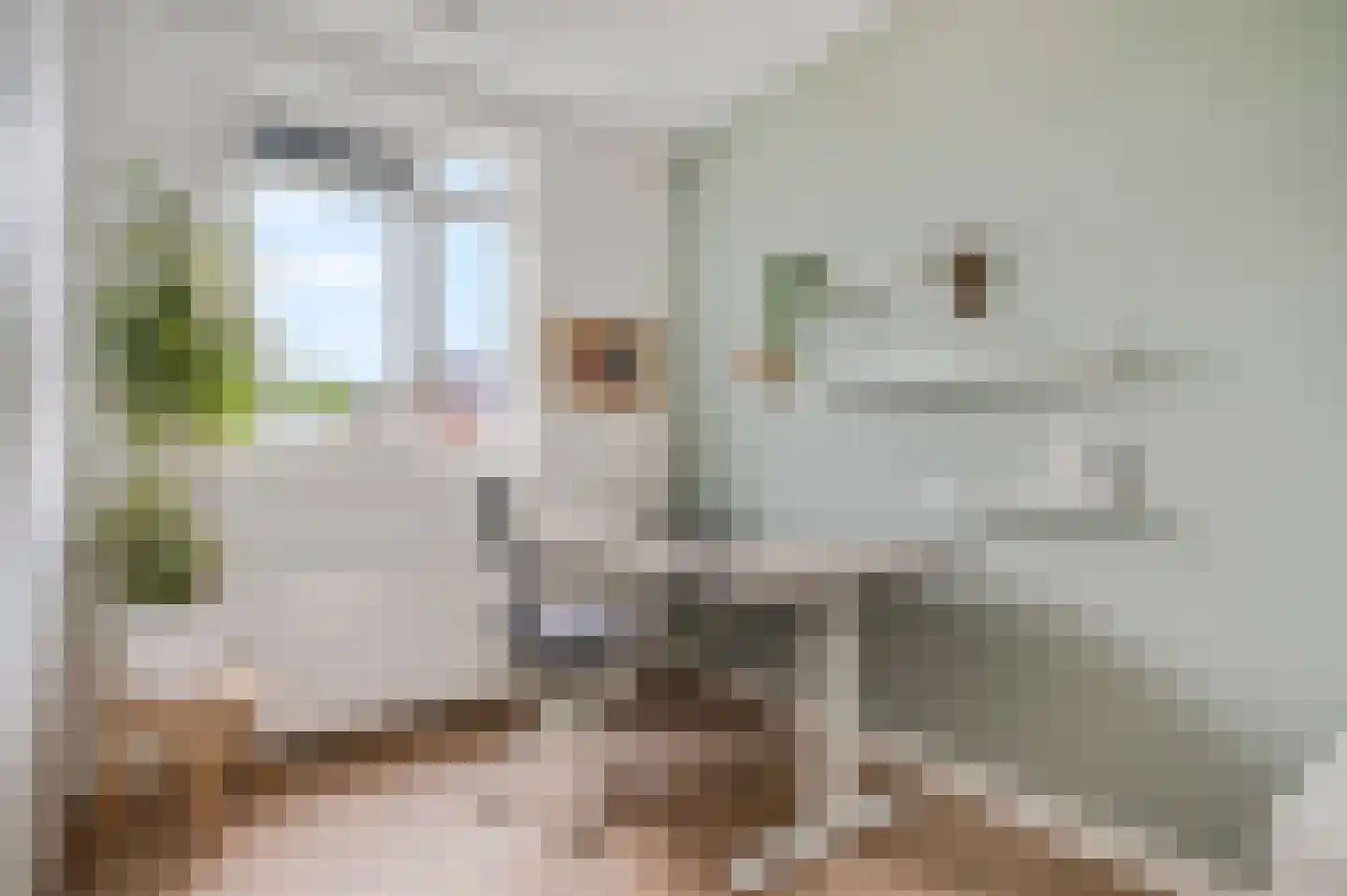 Twijnerij 36 Ede thumbnail 19