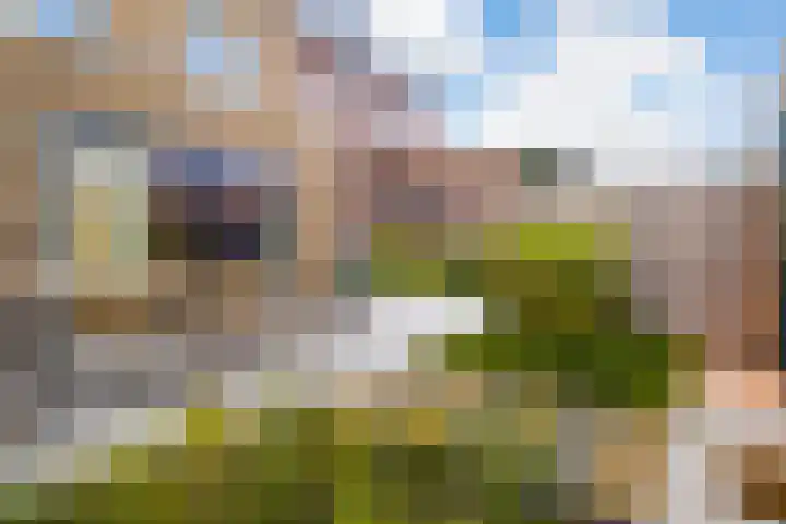 Twijnerij 8 Ede thumbnail 28