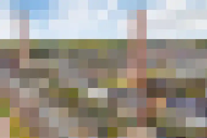 Twijnerij 8 Ede thumbnail 36