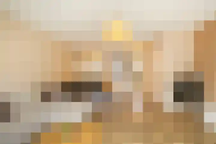Twijnerij 8 Ede thumbnail 8