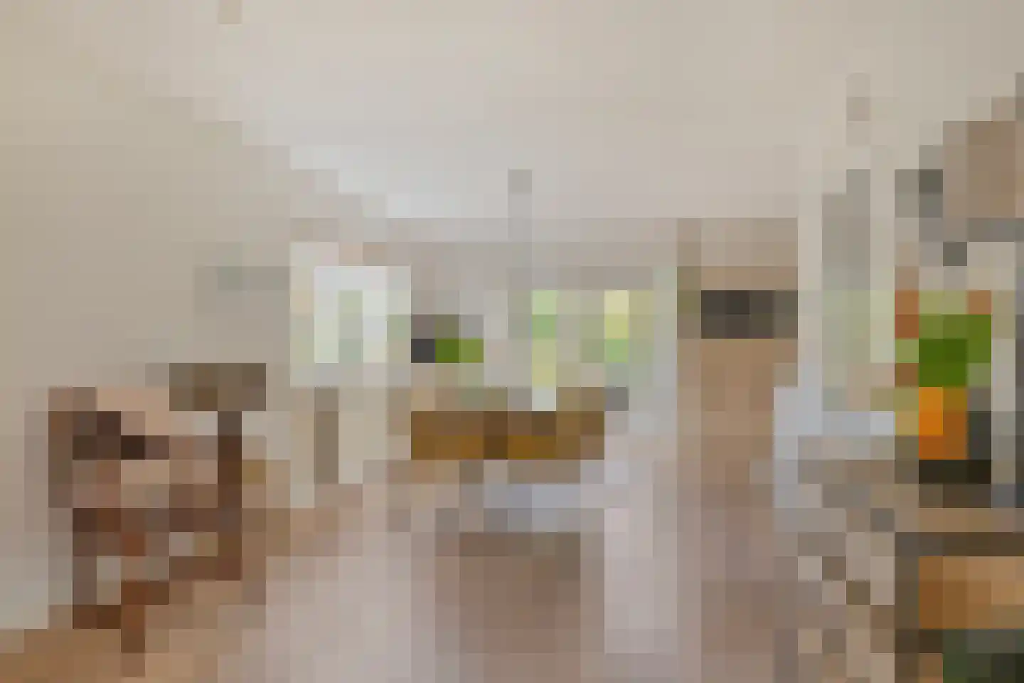 Twijnerstraat 11 Borne thumbnail 14