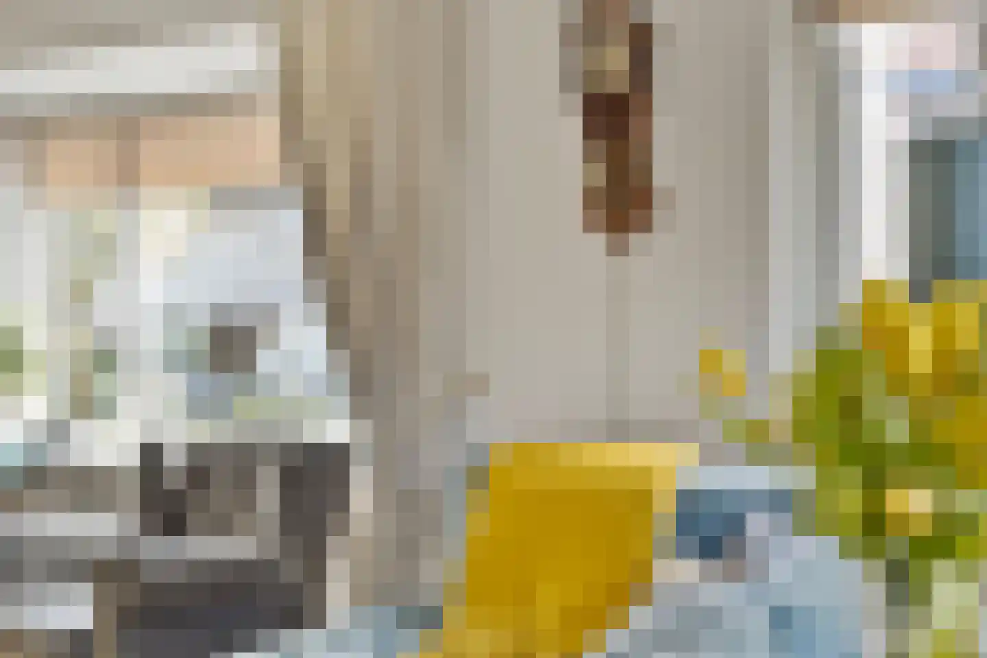 Twijnerstraat 11 Borne thumbnail 15