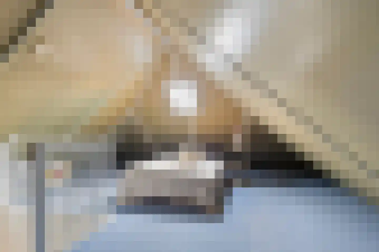 Twijnerstraat 11 Borne thumbnail 32