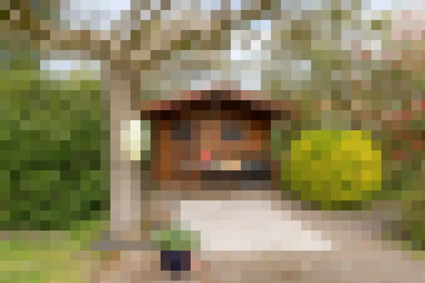 Twijnerstraat 11 Borne thumbnail 35