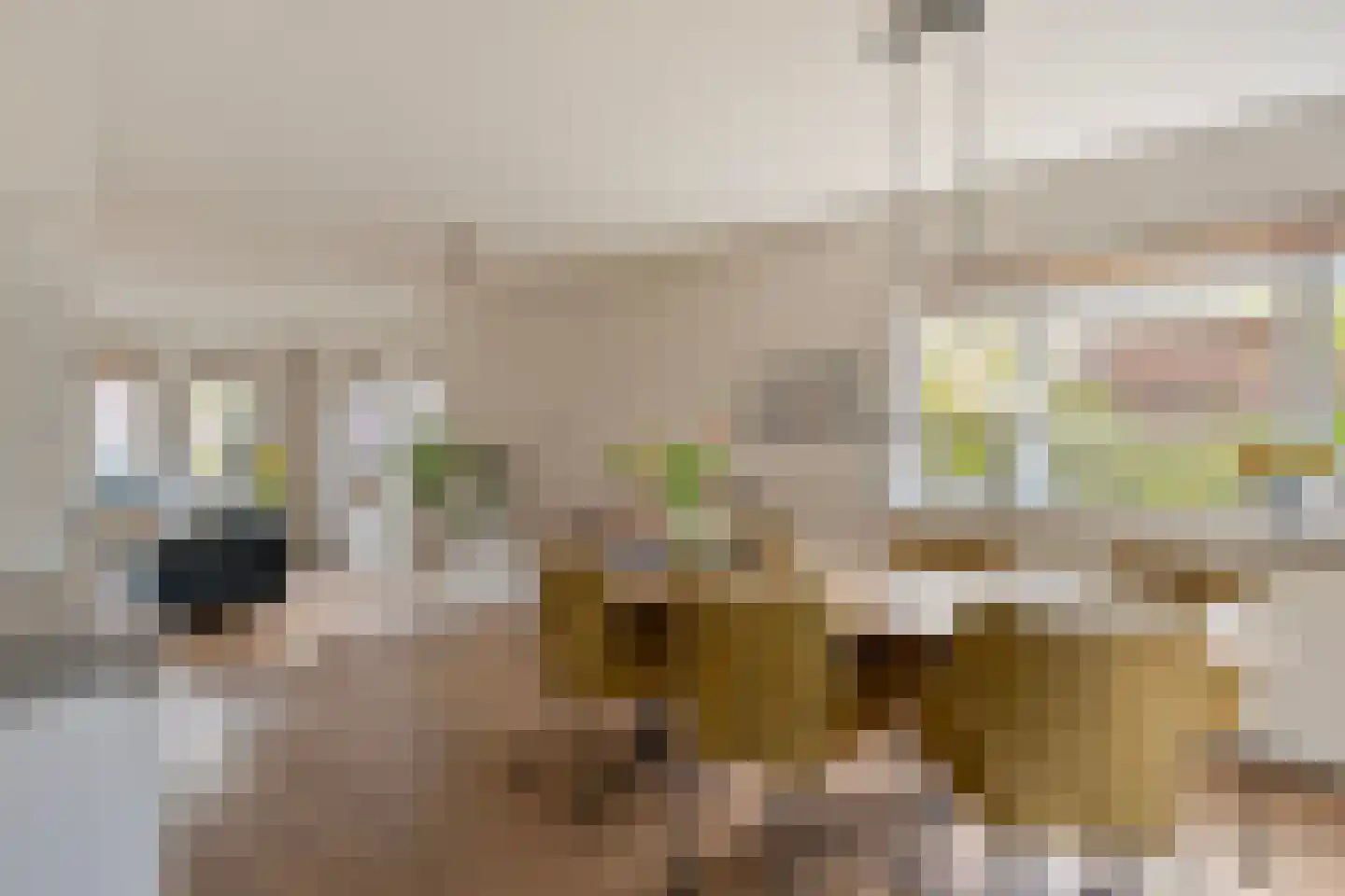 Twijnerstraat 11 Borne thumbnail 4