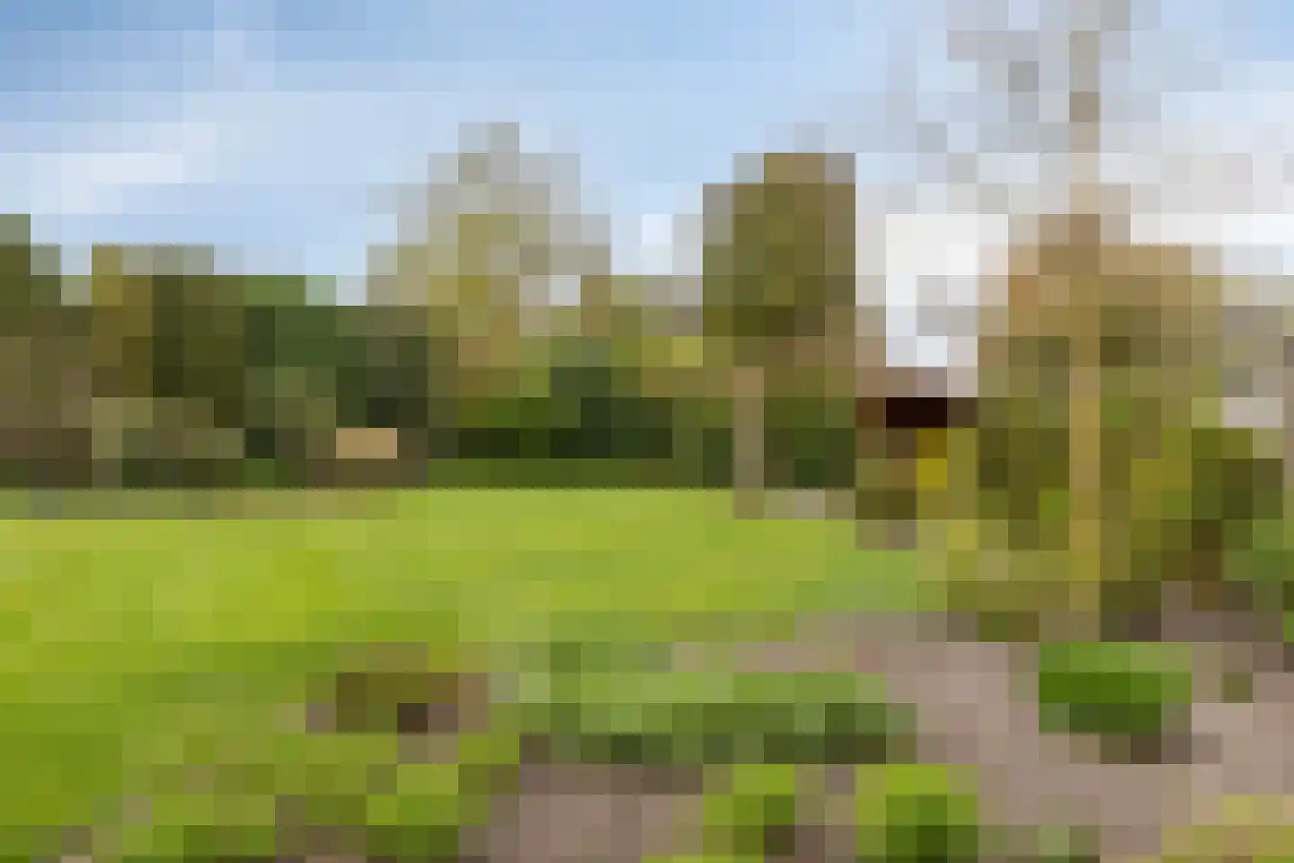 Twijnerstraat 11 Borne thumbnail 8