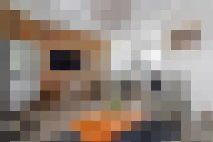 Twijnerstraat 20 Borne thumbnail 11