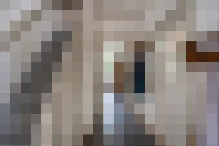 Twijnmeer 3 Gemonde thumbnail 20
